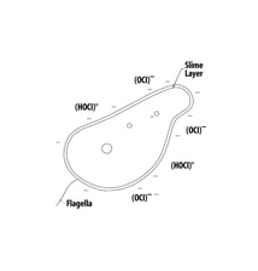 Text Box: 