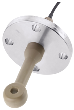 Endress Hauser CLS50D Digital conductivity sensor Indumax
