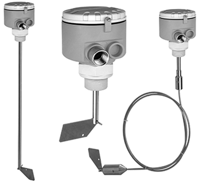 Endress Hauser Soliswitch FTE31 Level Limit Switch