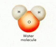Water Molecule
