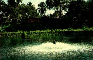 aeration lagoon oxygen injection