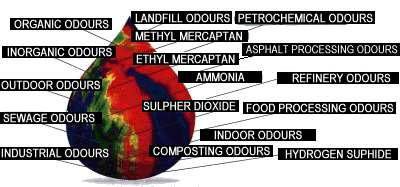 Ecosorbs Anwendungsgebiete
