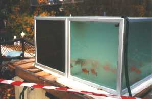 Ozonanwendung in einem Aquarium