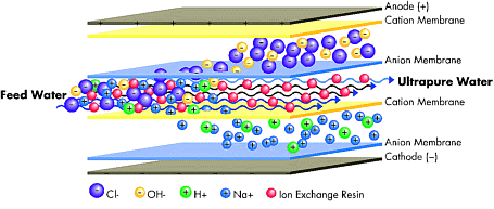 Elactrodeionisation for ultrapure water production