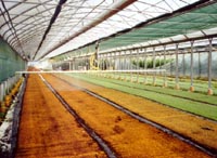 irrigation in greenhouses