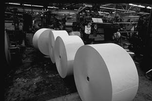 paper production