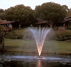 fountain water treatment