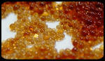 resine-ix.