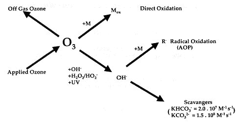reactiemechanisme ozon